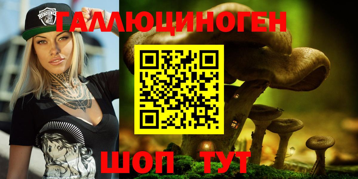 Мичуринск  Галлюциногенные грибы MAGIC MUSHROOMS  Вход с VPN 
